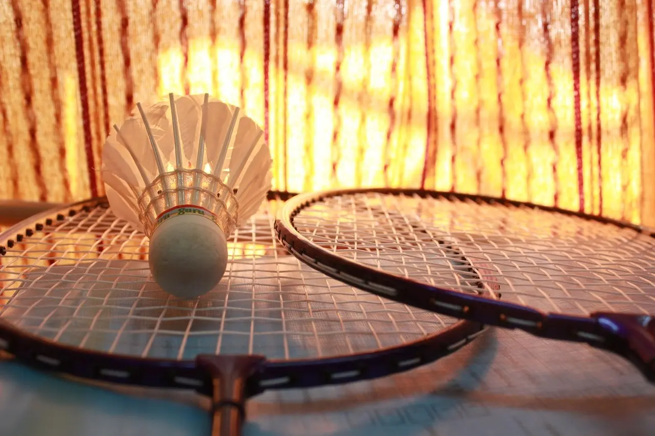 Fjerbold og badmintonketchere
